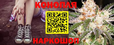 индика Шелехов
