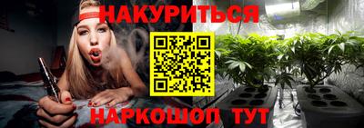 индика Шелехов