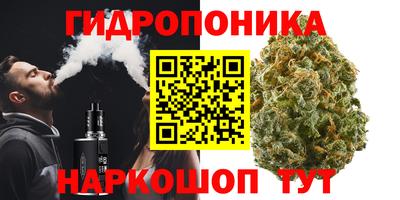 индика Шелехов