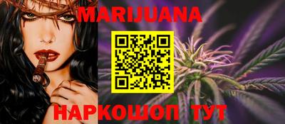 индика Шелехов